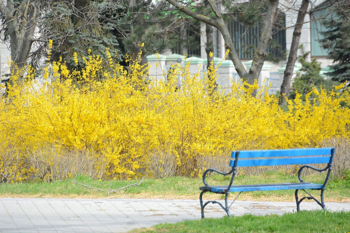 Fehérvár Médiacentrum fotója