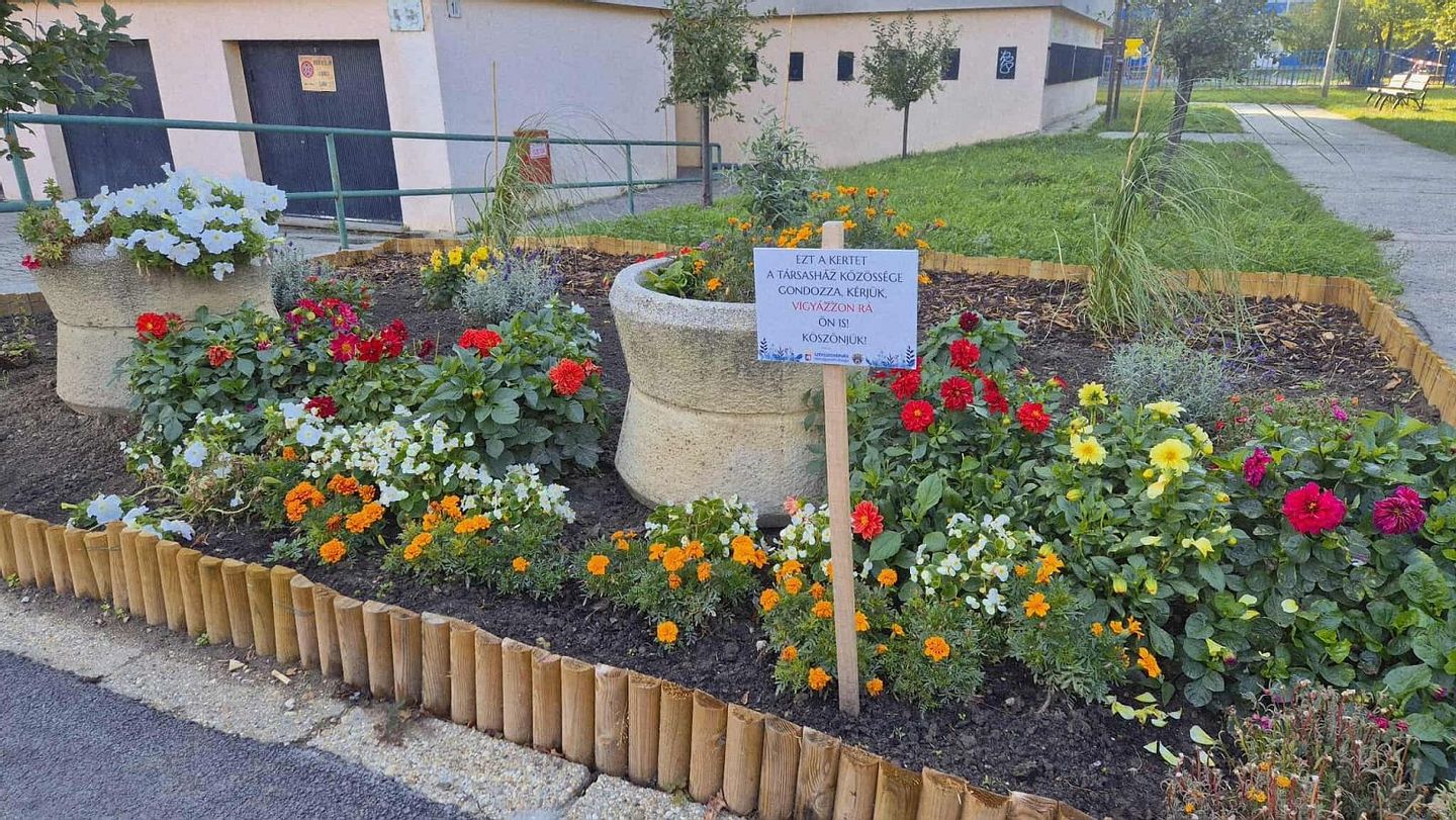 Fehérvár Médiacentrum fotója