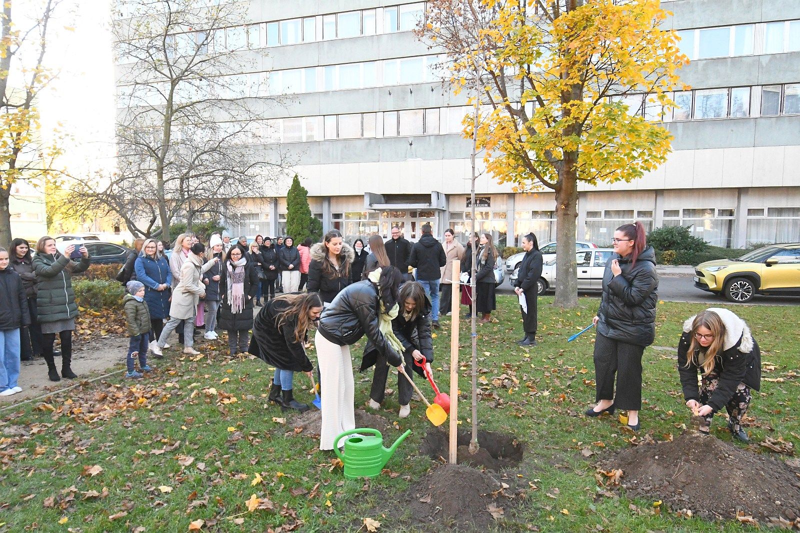 Fehérvár Médiacentrum fotója
