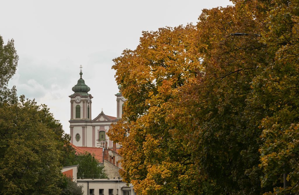 Fehérvár Médiacentrum fotója