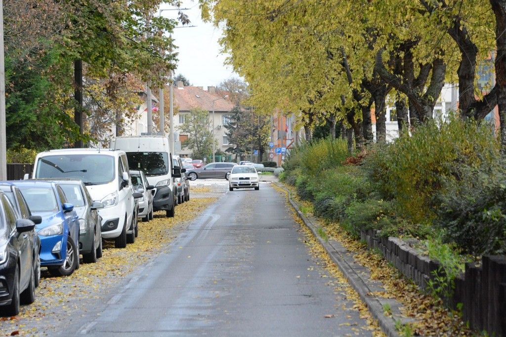 Fehérvár Médiacentrum fotója