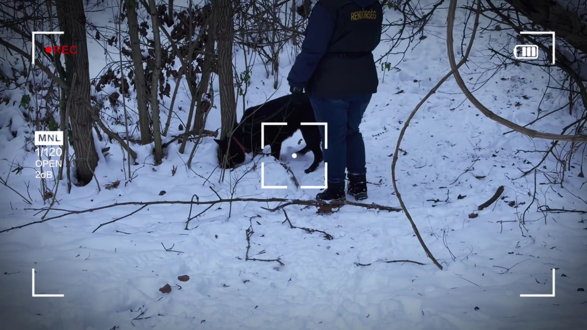 Fehérvár Médiacentrum fotója