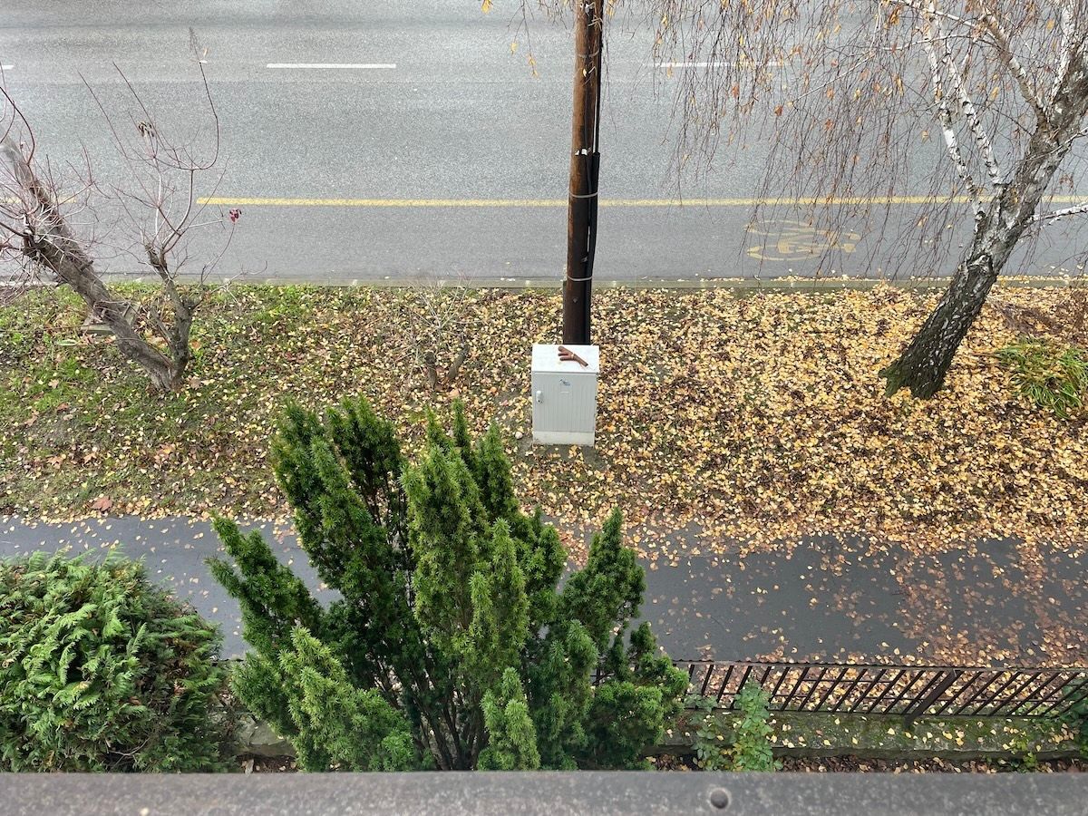 Fehérvár Médiacentrum fotója