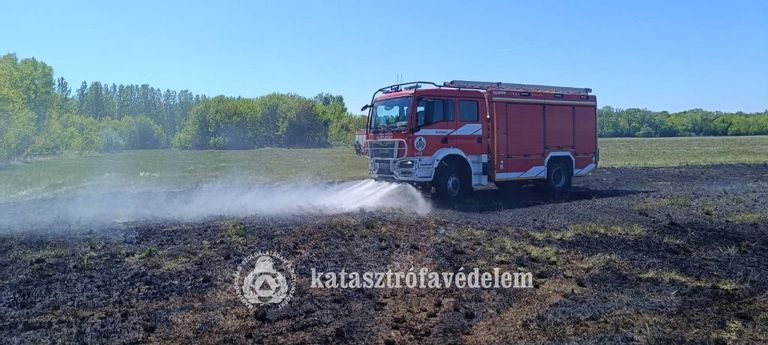 Fehérvár Médiacentrum fotója