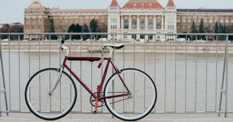 Fehérvár Médiacentrum fotója