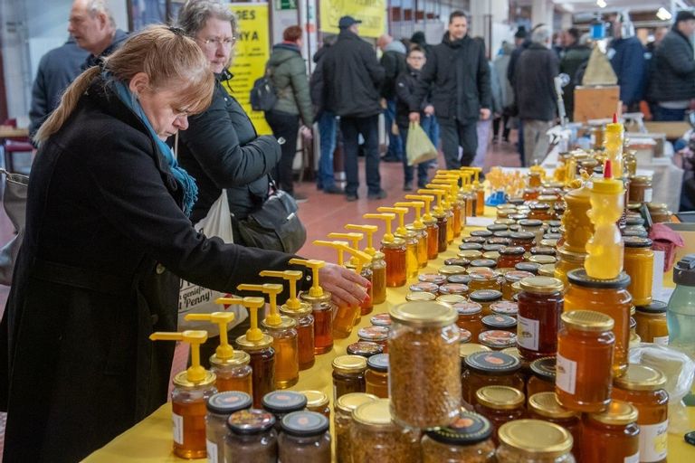 Fehérvár Médiacentrum fotója