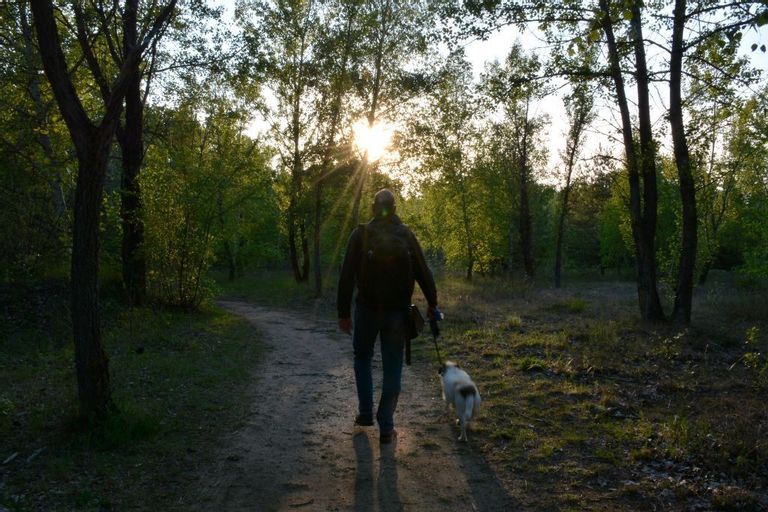 Barna, Béla és a város: a fehérvári The Last of Us