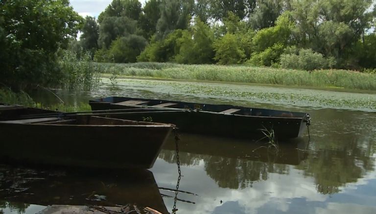 Fehérvár Médiacentrum fotója