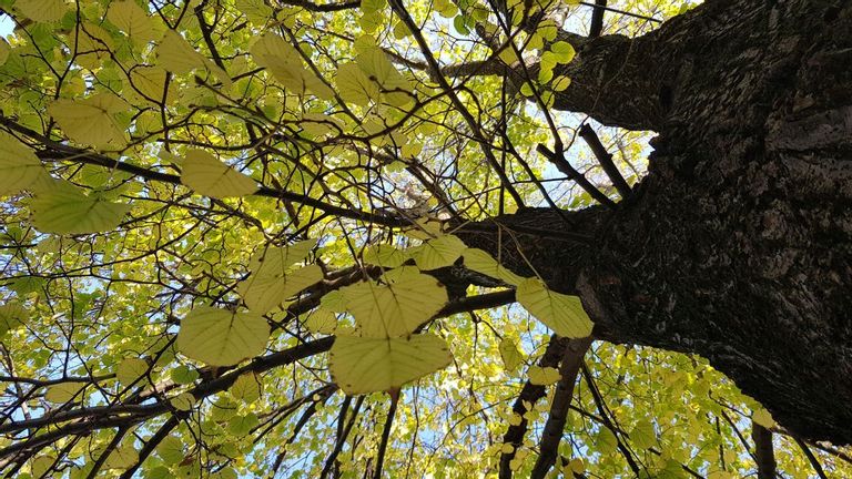 Fehérvár Médiacentrum fotója