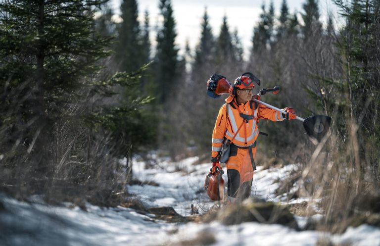 Fehérvár Médiacentrum fotója