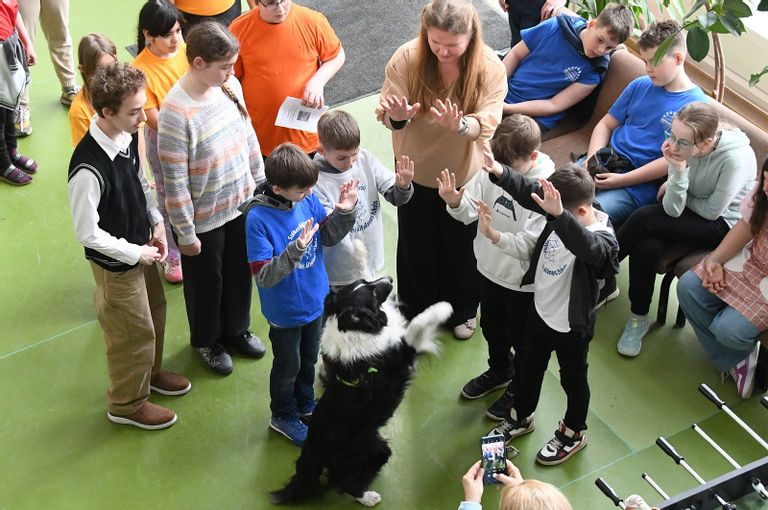 Fehérvár Médiacentrum fotója