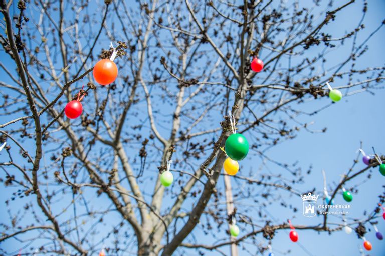 Fehérvár Médiacentrum fotója