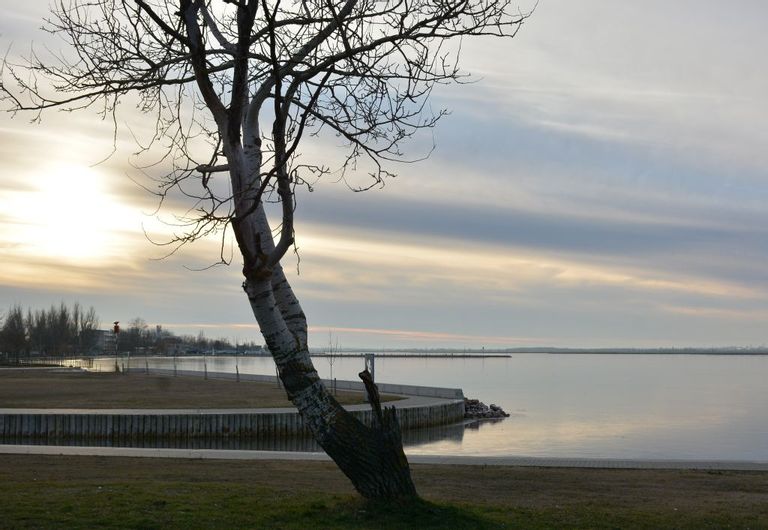 Fehérvár Médiacentrum fotója