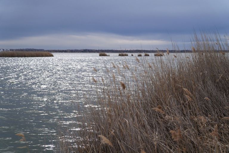 Fehérvár Médiacentrum fotója