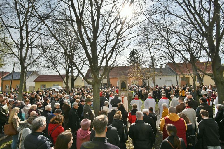 Fehérvár Médiacentrum fotója