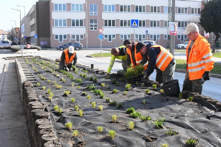 Fehérvár Médiacentrum fotója