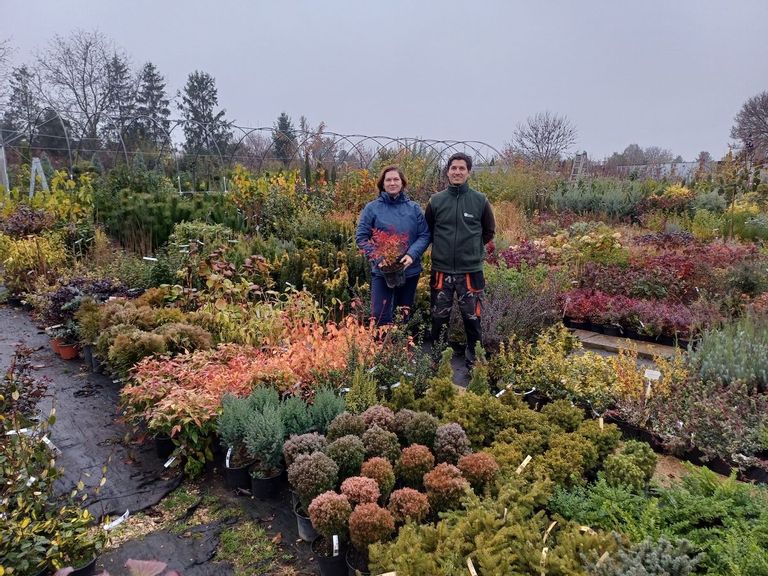 Fehérvár Médiacentrum fotója