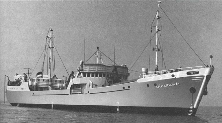 Fehérvár Médiacentrum fotója