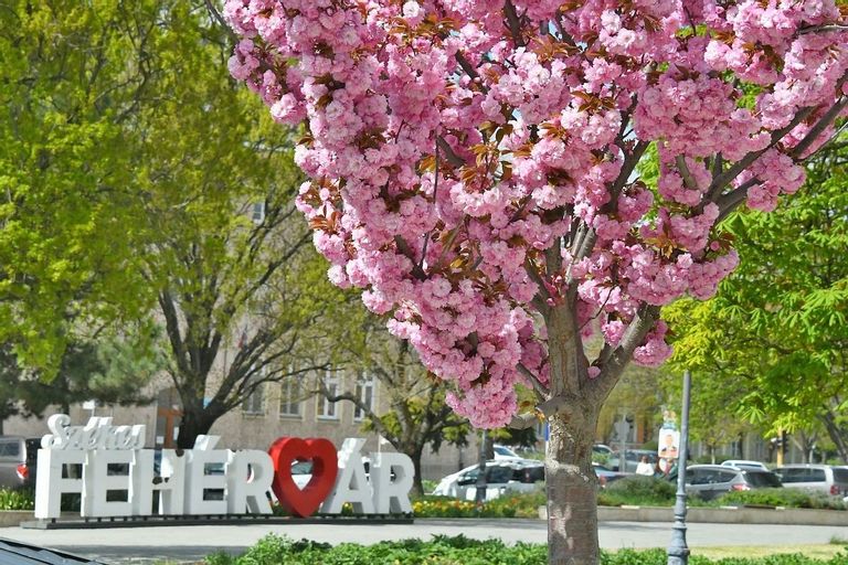 Fehérvár Médiacentrum fotója