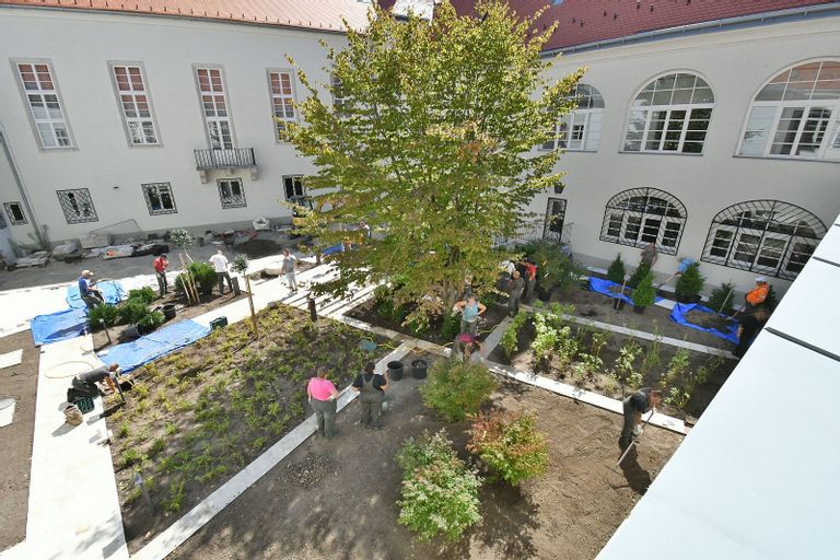 Fehérvár Médiacentrum fotója