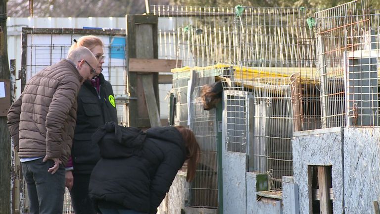 Fehérvár Médiacentrum fotója