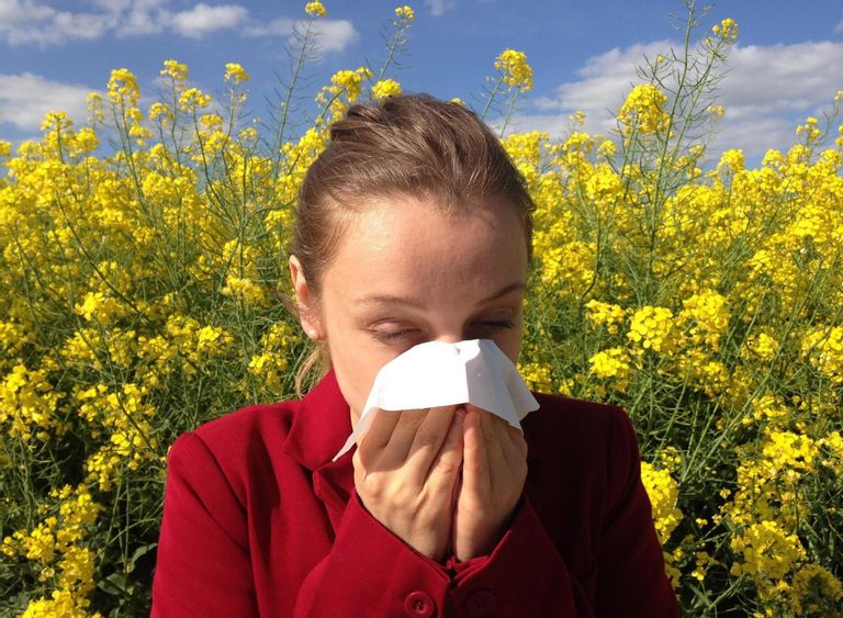 Fehérvár Médiacentrum fotója