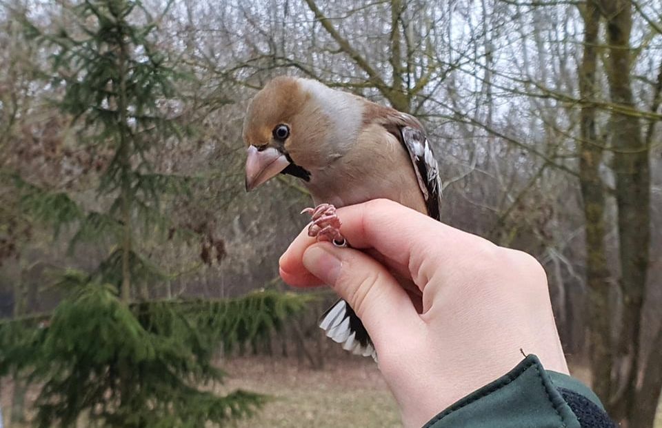 Fehérvár Médiacentrum fotója