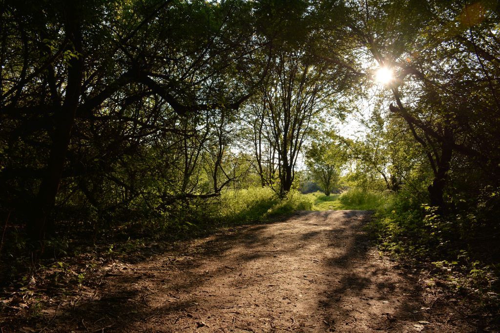 Fehérvár Médiacentrum fotója