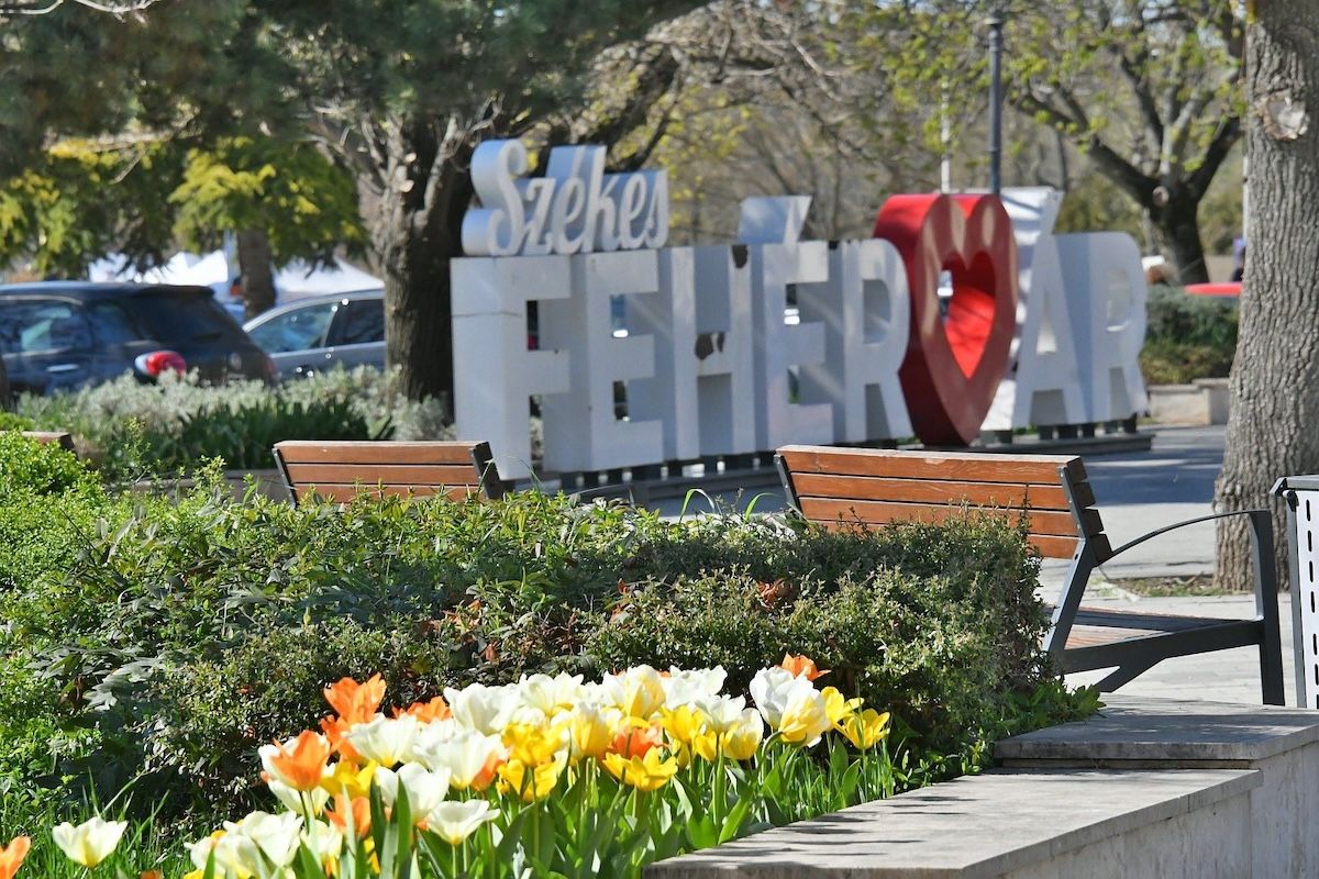 Fehérvár Médiacentrum fotója