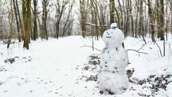 Fehérvár Médiacentrum fotója