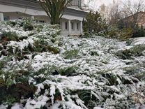 Fehérvár Médiacentrum fotója