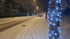 Fehérvár Médiacentrum fotója