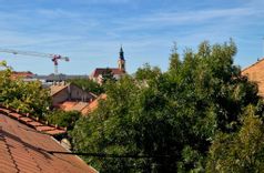 Fehérvár Médiacentrum fotója