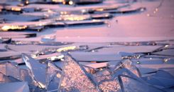 Fehérvár Médiacentrum fotója