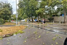 Fehérvár Médiacentrum fotója