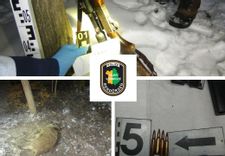 Fehérvár Médiacentrum fotója