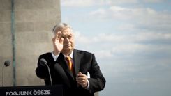 Fehérvár Médiacentrum fotója