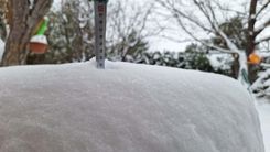 Fehérvár Médiacentrum fotója