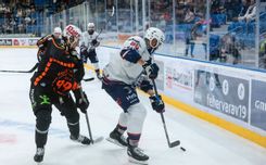 Fehérvár Médiacentrum fotója