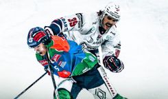 Fehérvár Médiacentrum fotója