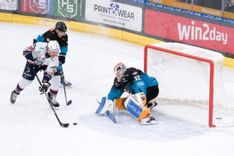 Fehérvár Médiacentrum fotója