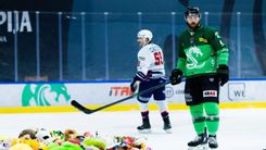 Fehérvár Médiacentrum fotója