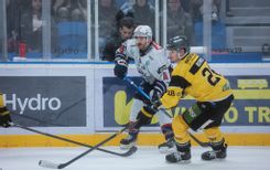 Fehérvár Médiacentrum fotója