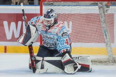 Fehérvár Médiacentrum fotója