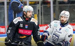 Fehérvár Médiacentrum fotója