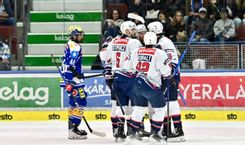 Fehérvár Médiacentrum fotója