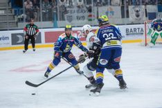 Fehérvár Médiacentrum fotója