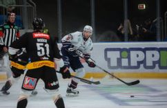 Fehérvár Médiacentrum fotója