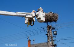 Fehérvár Médiacentrum fotója
