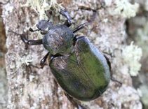 Fehérvár Médiacentrum fotója